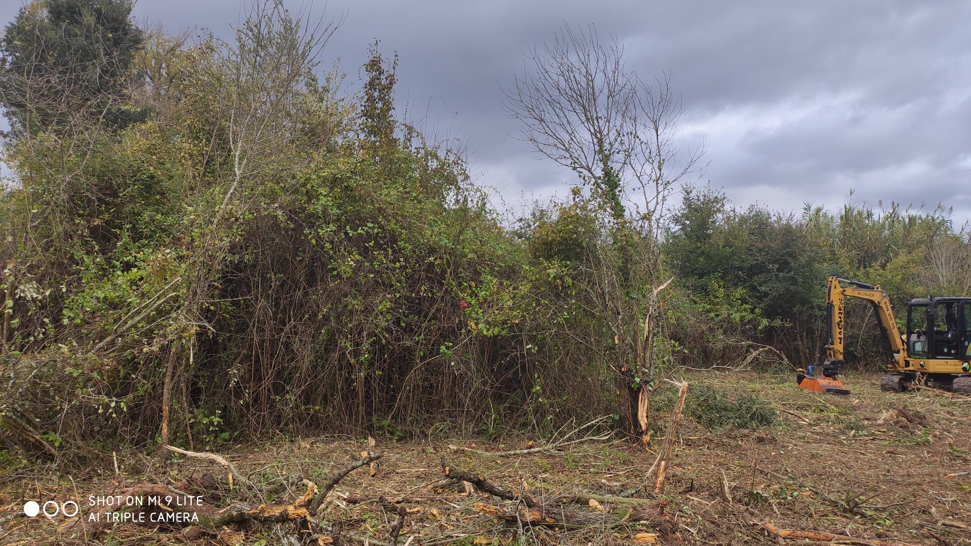 Limpeza completa do terreno, incluindo a remoção de vegetação indesejada, destocamento, remoção de entulhos e nivelamento do solo, preparando a área para o próximo estágio do projeto. - Imagem 3